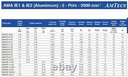 3 Phase Aluminium Electric Motor 0.75kW 1.0Hp 2875rpm 80 Frame 2 Pole IE2 B5