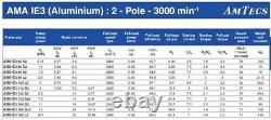3 Phase Aluminium Electric Motor 7.5kW 10Hp 2930rpm 132 Frame 2 Pole IE3 B3