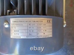 3 Phase Induction Electric Motor 2910 RPM Three Ph 400v/690v