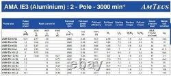 4.023AMTAB3IE3 Three Phase Electric Motor 4.0kW 2 Pole B3 Aluminium IE3