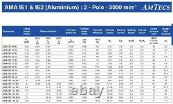 AMTEC Electric Motor 3 Phase Aluminum 0.37kW 2 Pole 2690rpm 71 Frame B35 Mount