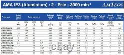 AMTEC Electric Motor 3 Phase Aluminum 0.75kW 2 Pole 2880rpm 80 Frame B14 Mount