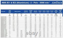 AMTEC Electric Motor 3 Phase Aluminum 4.0kW 2 Pole 2880rpm 100 Frame B3 Mount