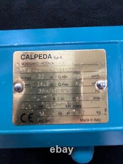 CALPEDA NM 1 AE 60 Cast Iron Centrifugal Pump Three Phase