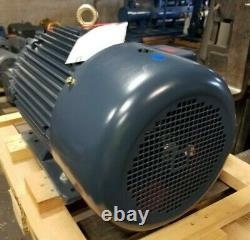 New Leeson 20 HP Electric Ac Motor 230/460 Vac 256t Frame 1768 RPM 3 Phase