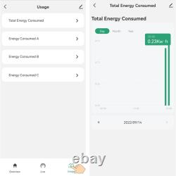 Smart Three phase Electricity Meter Wi Fi Enabled Energy Monitor (80A)