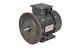 TEC Three Phase Electric Motor, 3KW, (4HP), Flange Mounted(B5), 3000rpm(2 pole)