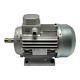 Vemat Electric Motor Vtb 100lb Three-phase 4 Kw 5.5hp 2840 RPM 230/400v S3-75%